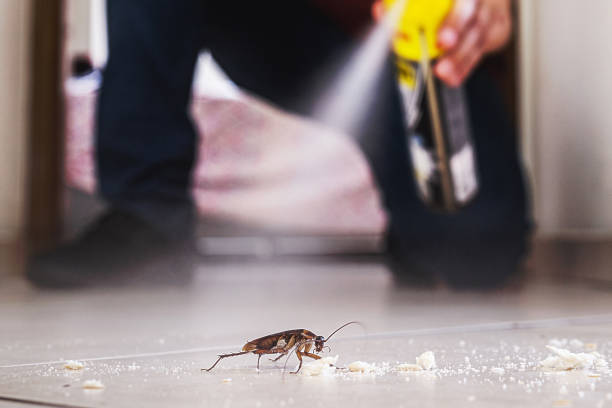 Best Pest Control Near Me in Succasunna, NJ